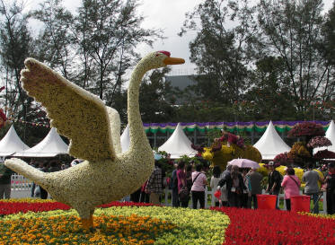 HK Flower Show 2009 - flower arrangement