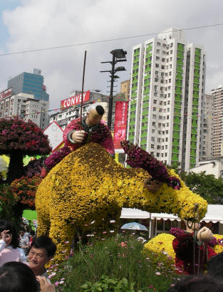 2009 Hong Kong Flower Show - flower arrangement
