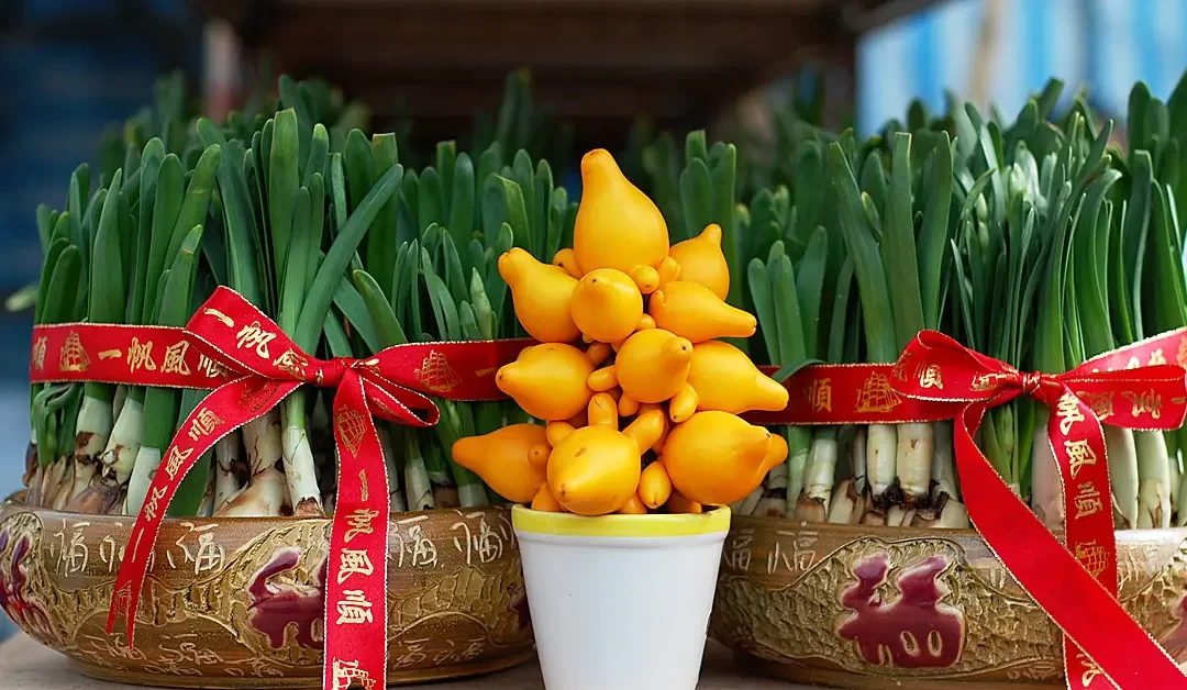 Chinese New Year in Hong Kong