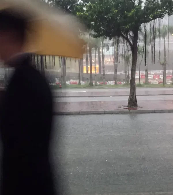 Hong Kong Typhoon Season