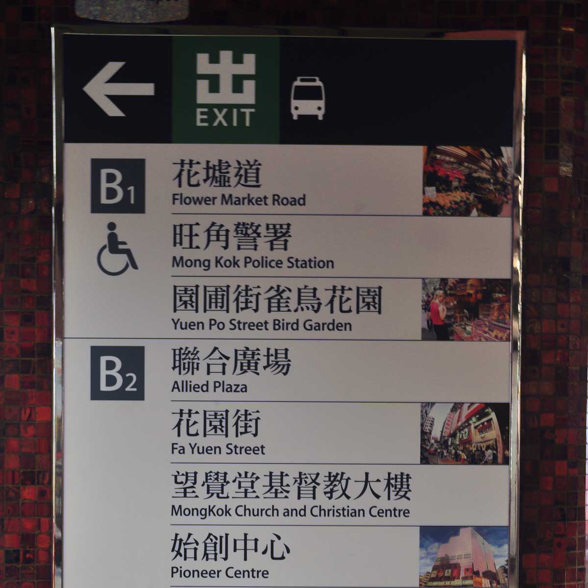 The Ultimate Guide to the MTR